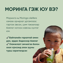 Capsule 3.webp