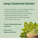 Capsule 7 .webp