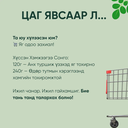 Capsule 9.webp