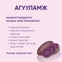 UbeP 5.webp